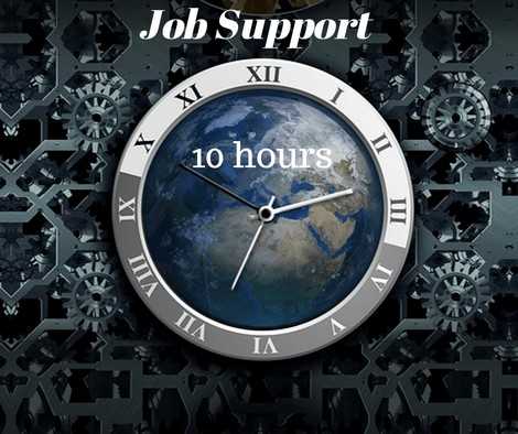 SAP Job support - 10 hours course and certification