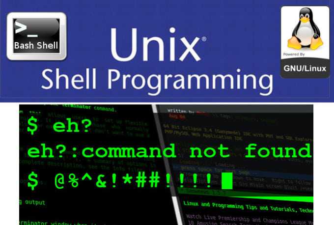 UNIX Shell Programming course and certification