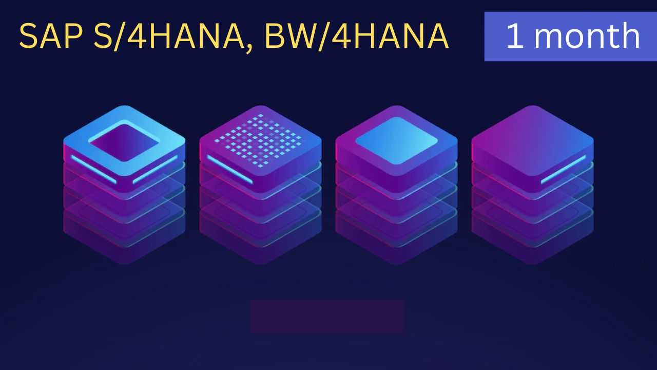 Server Access | SAP HANA | 1 Month course and certification
