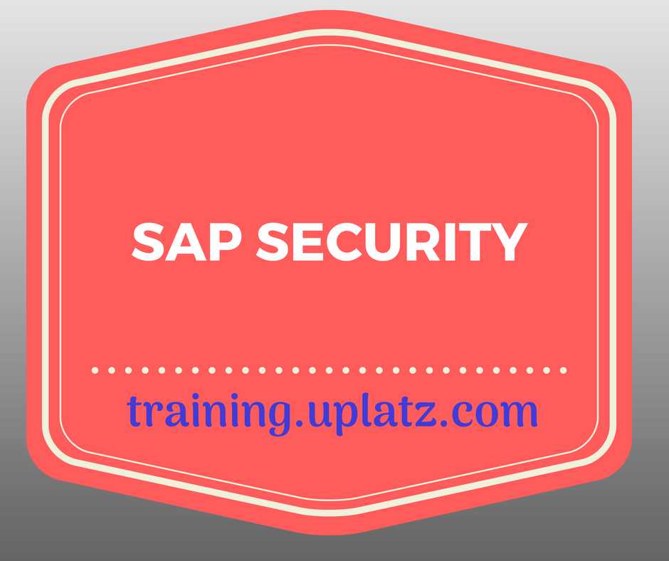 SAP Security Training course and certification