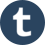 tumblr icon