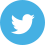 twitter icon