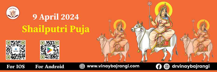 Shailputri Puja course and certification