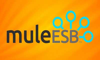Mule ESB Online Training course and certification