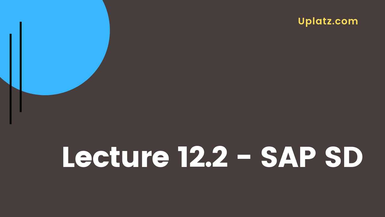Video: SAP SD - all lectures
