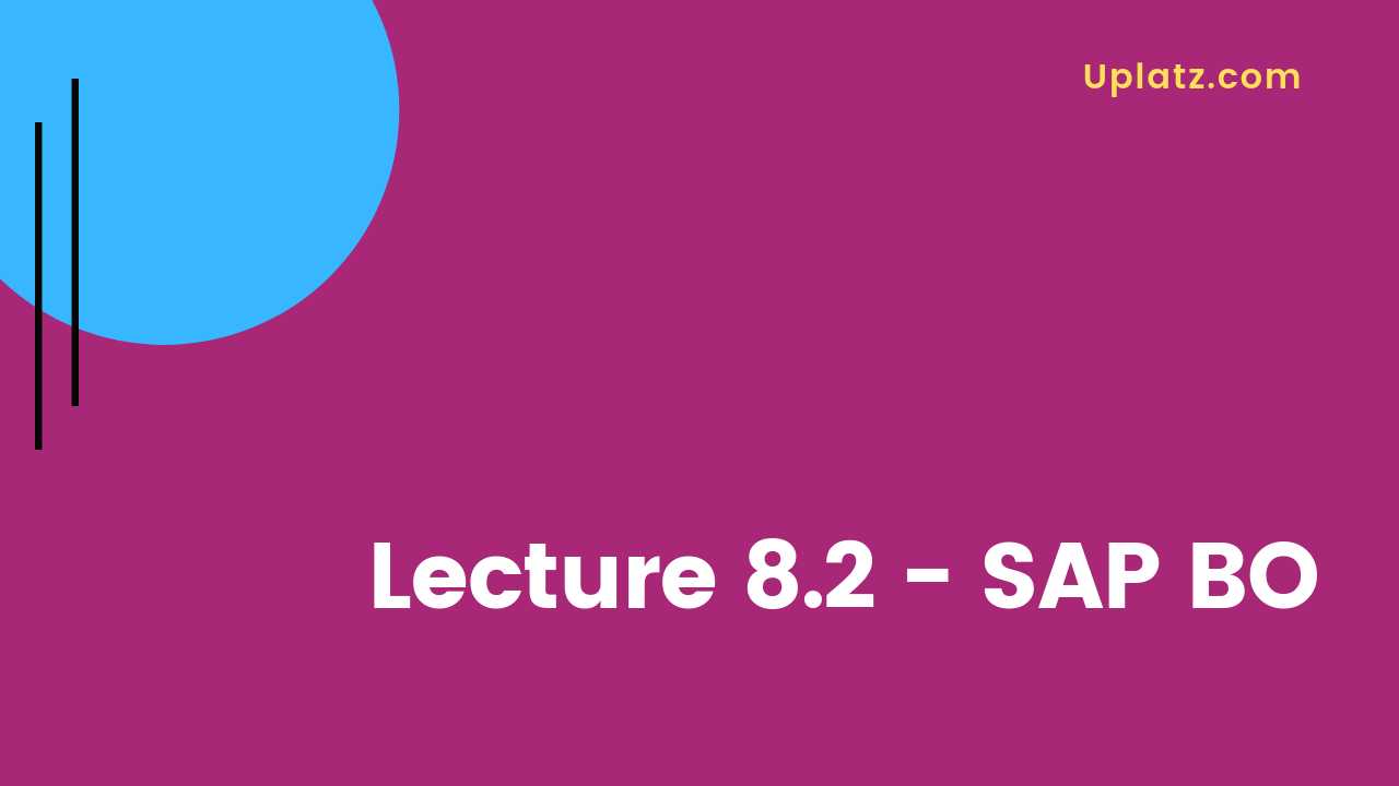 Video: SAP BO overview - all lectures