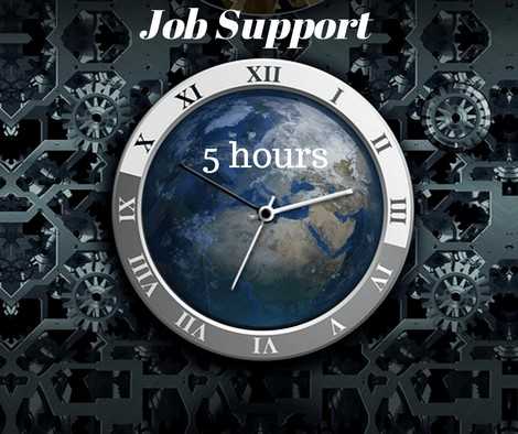 SAP Job support - 5 hours course and certification