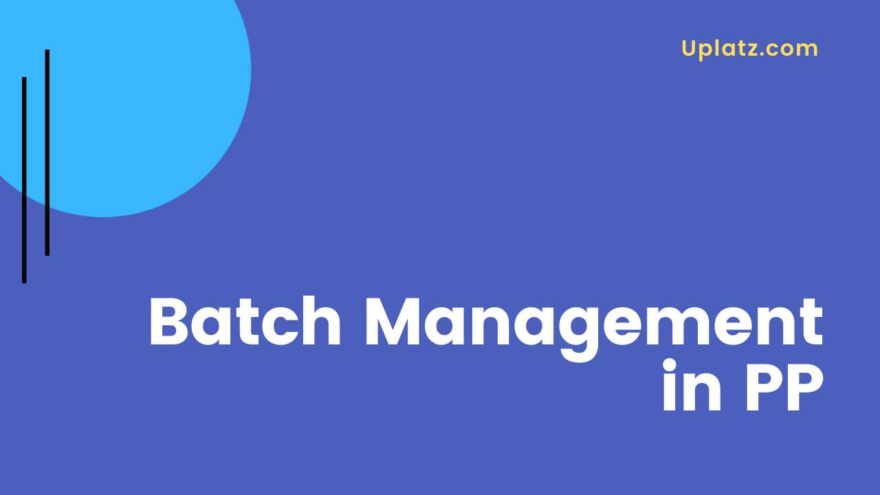 Video: Batch Management in PP
