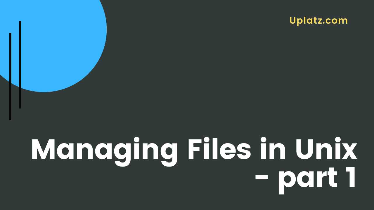 Video: Managing Files in Unix