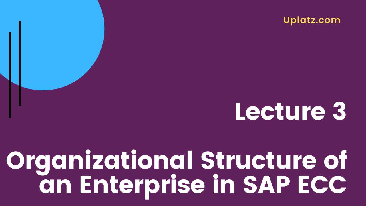 Video: SAP SD (basic to advanced) - all lectures