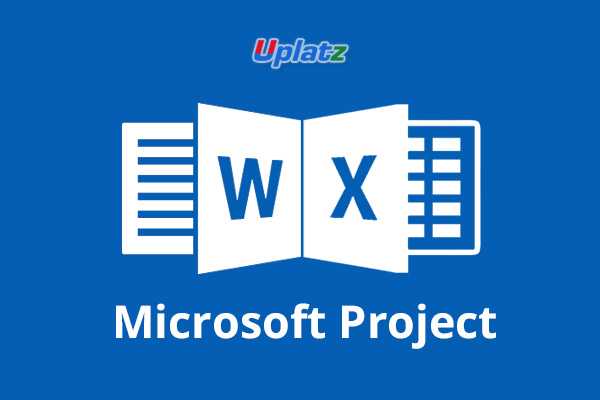Microsoft Project (Beginner) course and certification