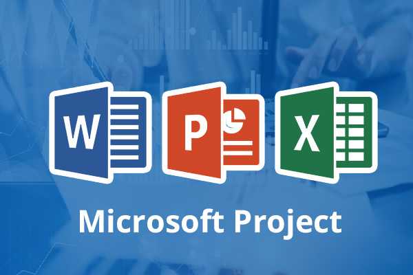Microsoft Project (Beginner to Advanced) course and certification