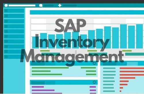 SAP Inventory Management course and certification