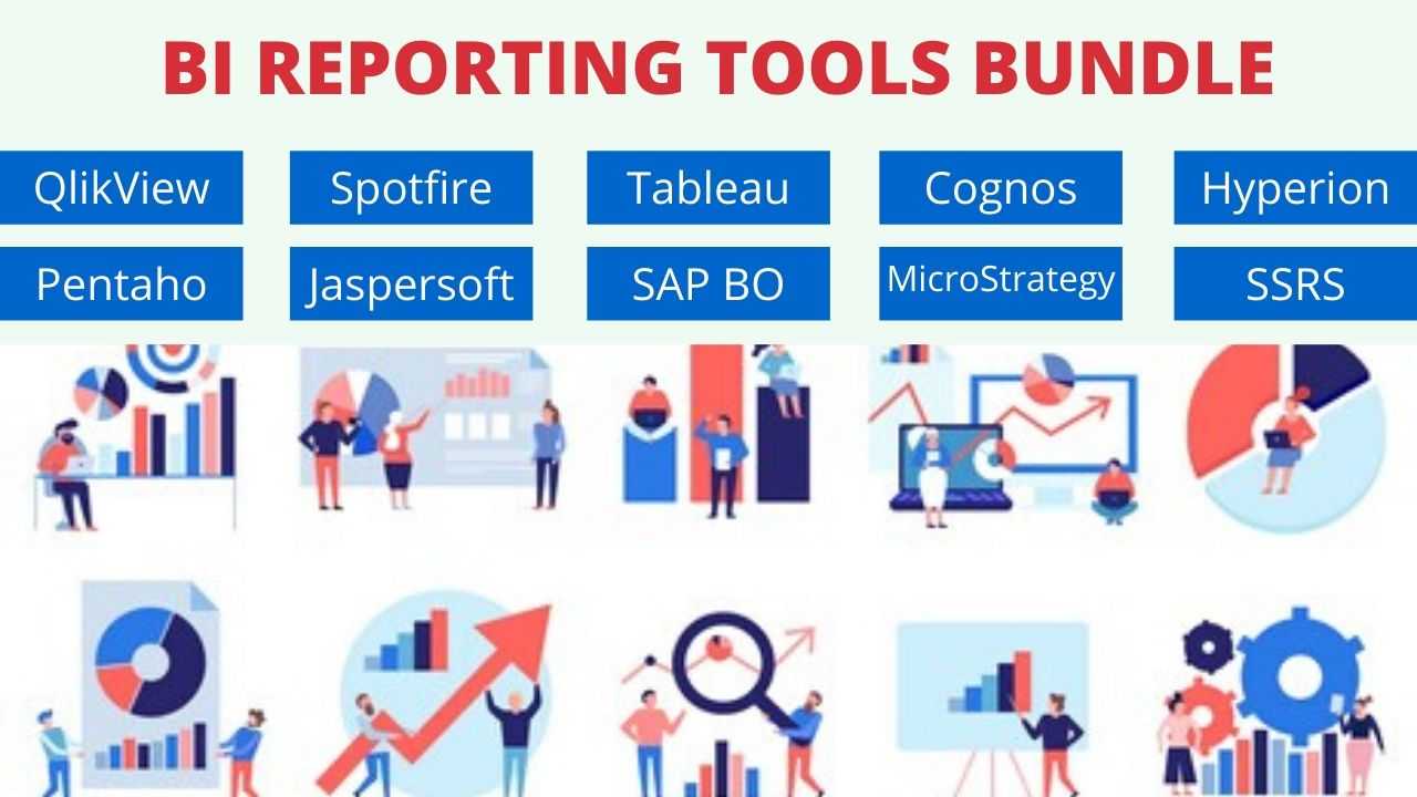 Bundle Course - BI Reporting Tools course and certification