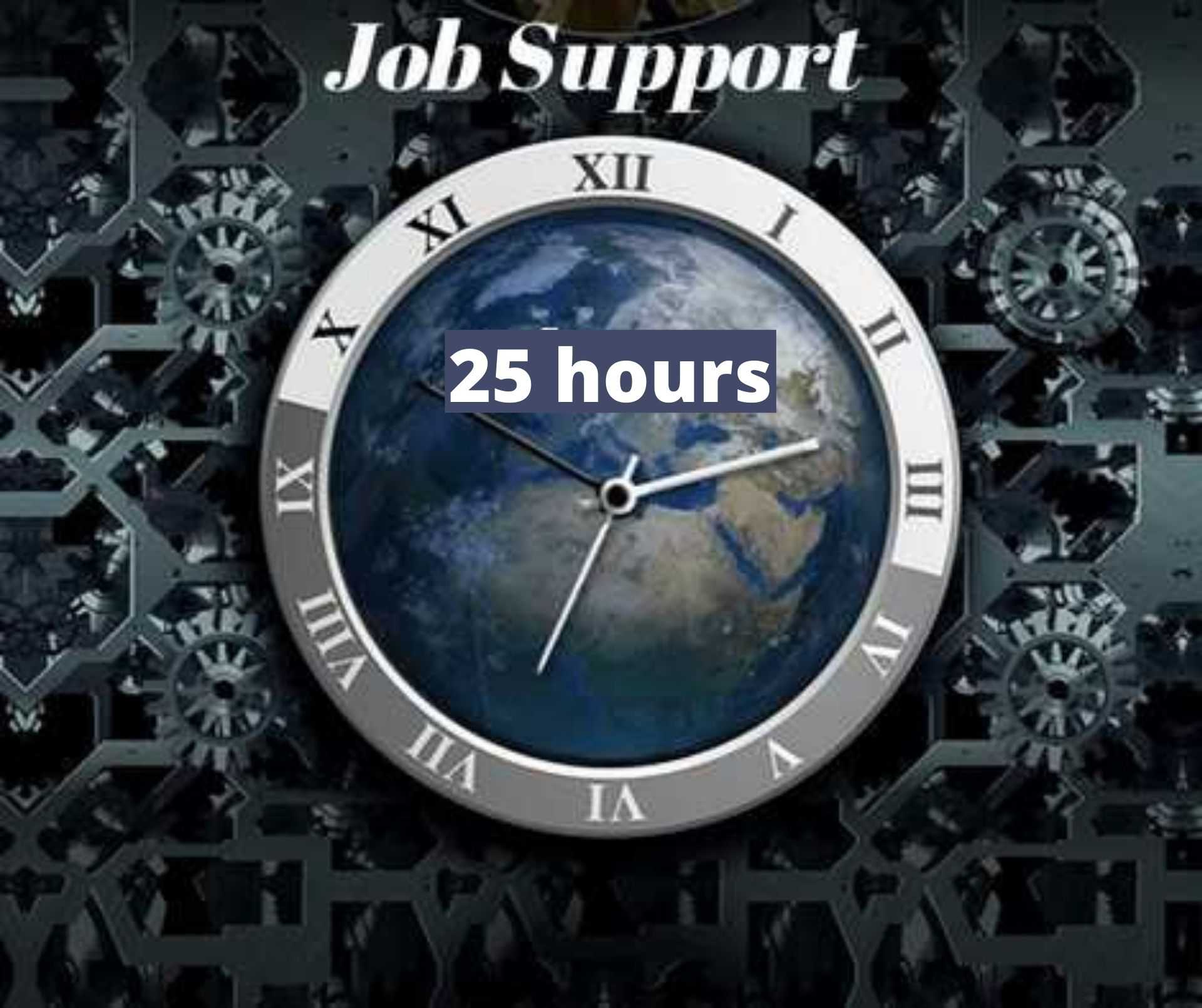 SAP Job Support - 25 hours course and certification