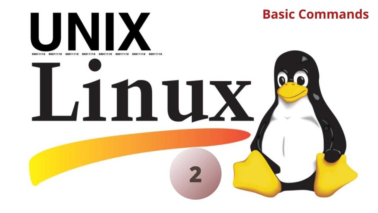 Video: Introduction to Unix and Linux