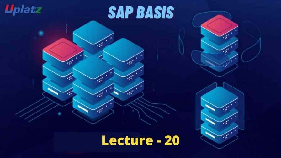Video: SAP Basis - all lectures