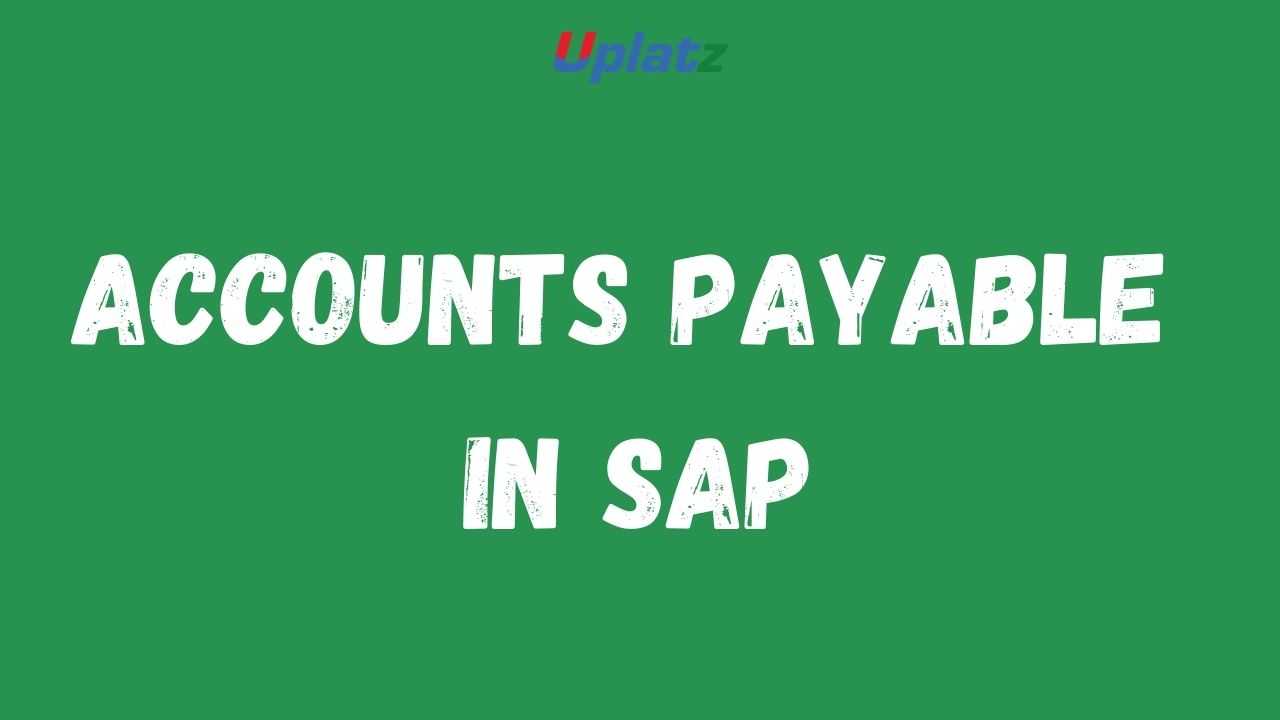 Accounts Payable in SAP course and certification