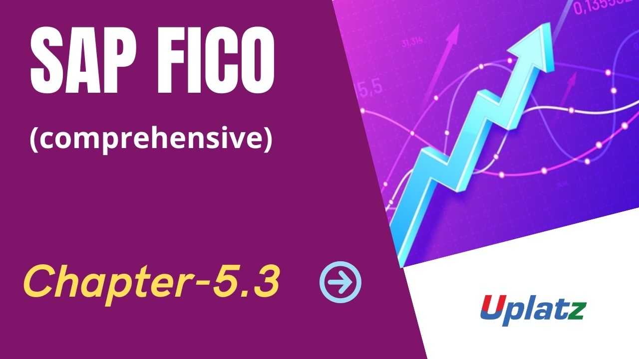Video: SAP FICO (comprehensive) - all lectures