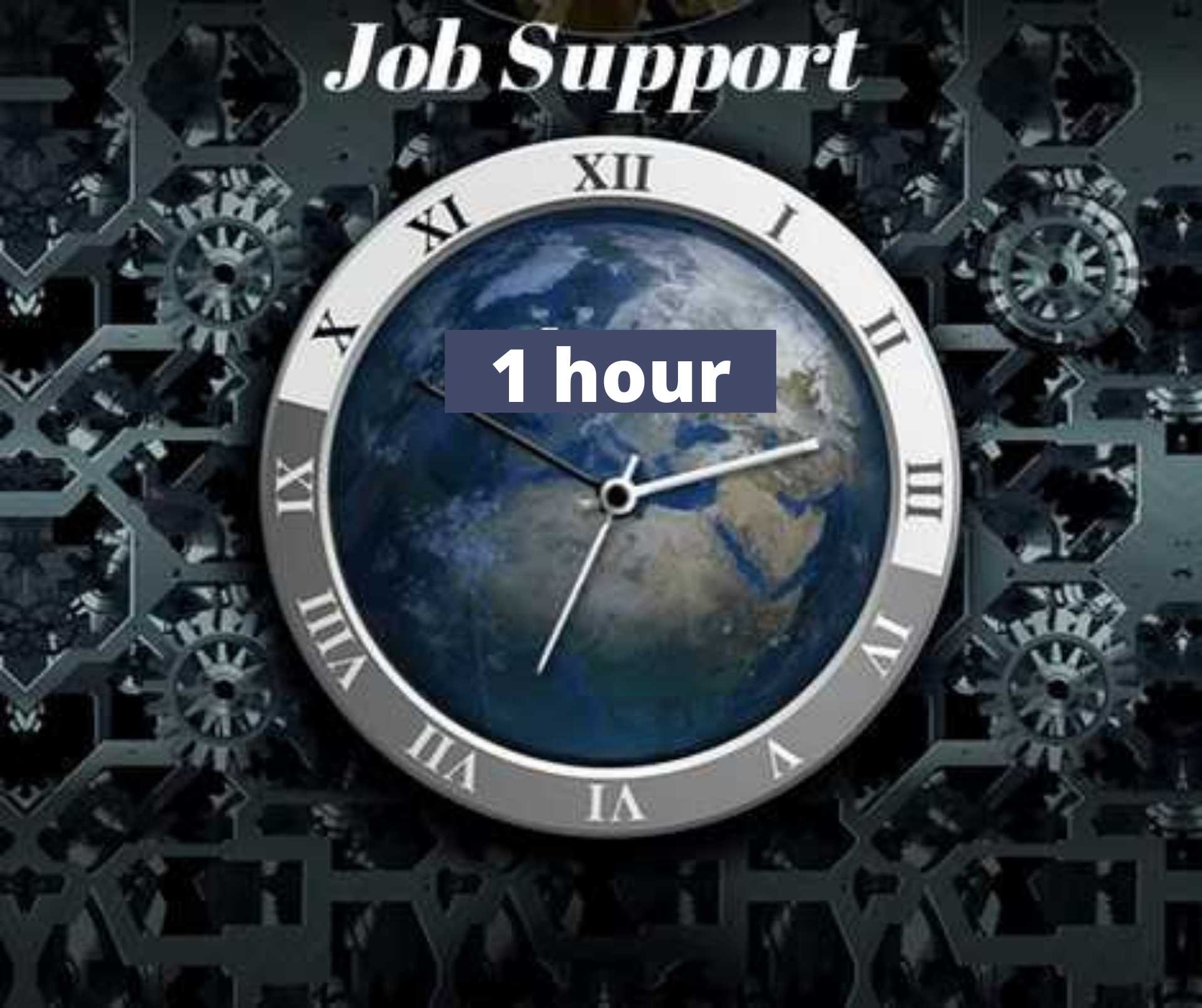 SAP Job support - 1 hour course and certification