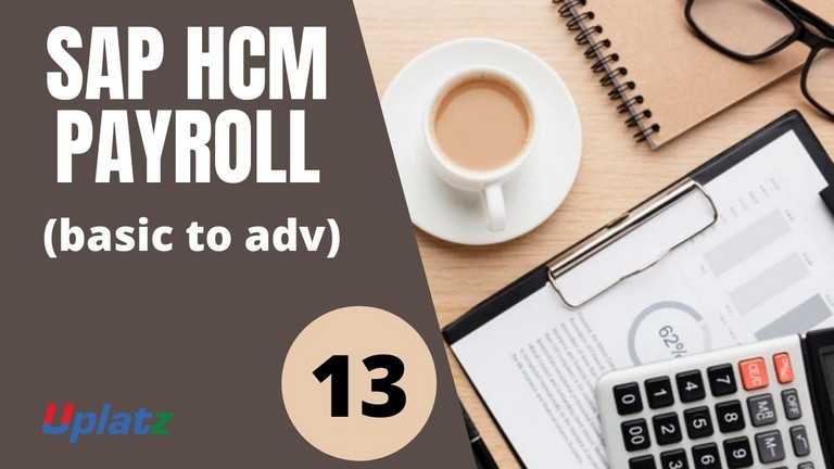 Video: SAP HCM Payroll (basic to advanced) - all lectures