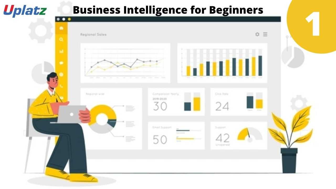 Video: Business Intelligence for Beginners - all lectures