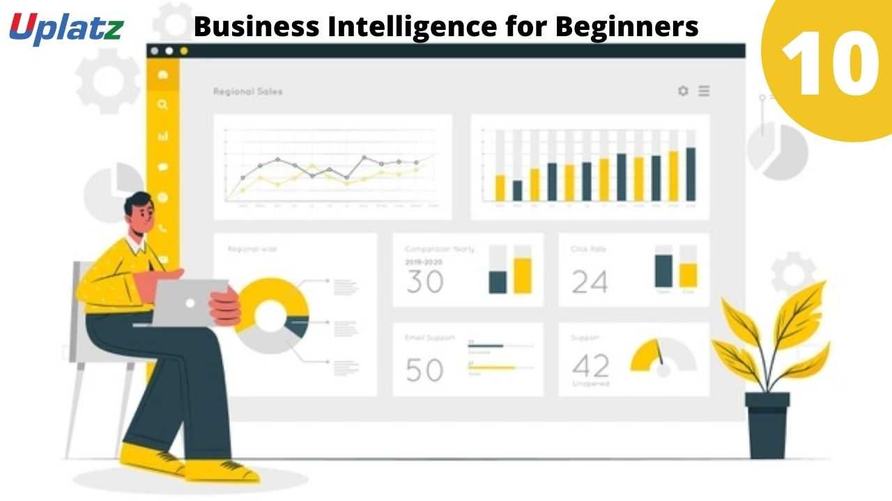Video: Business Intelligence for Beginners - all lectures