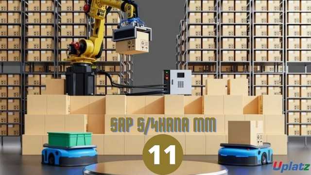 Video: SAP S/4HANA MM Sourcing and Procurement - all lectures