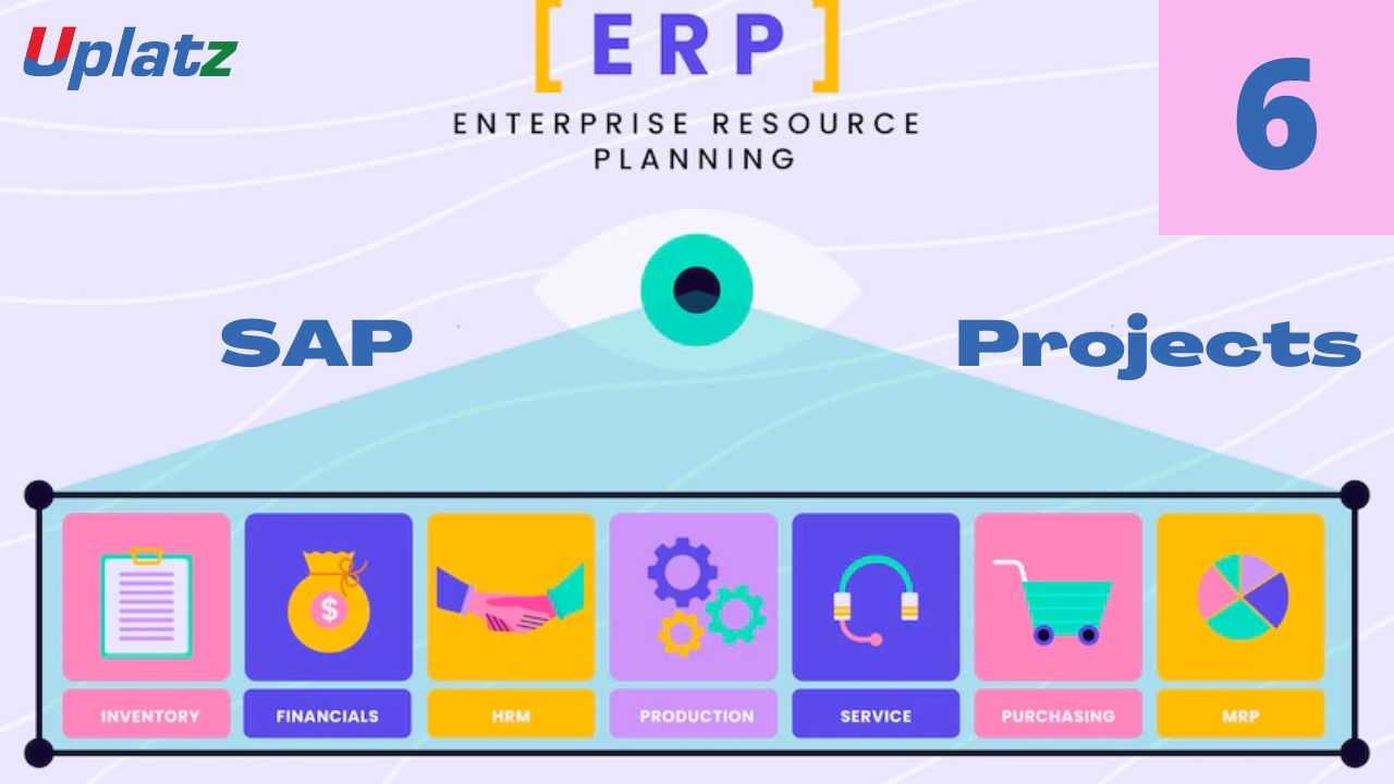 Video: Introduction to ERP & SAP and SAP Projects - all lectures