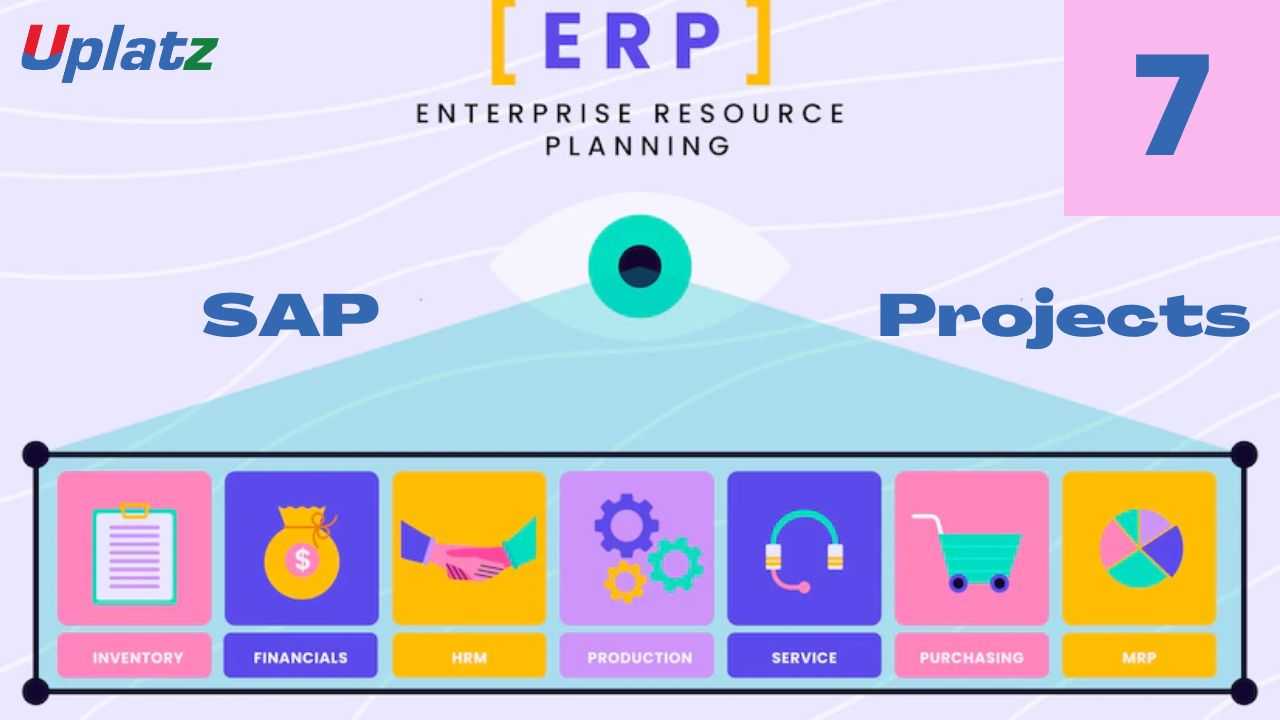 Video: Introduction to ERP & SAP and SAP Projects - all lectures