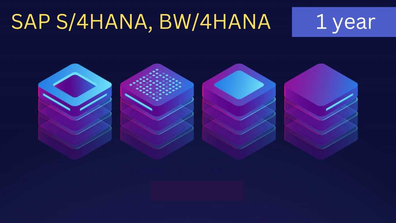 Server Access | SAP HANA | 1 Year course and certification
