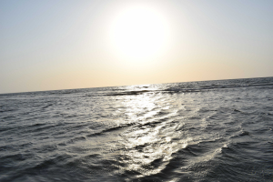 Uplatz profile picture of MOHAMED NABIL