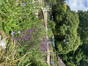 Uplatz profile picture of Indu