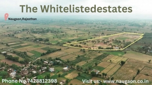 Uplatz profile picture of Naugaonrajasthan