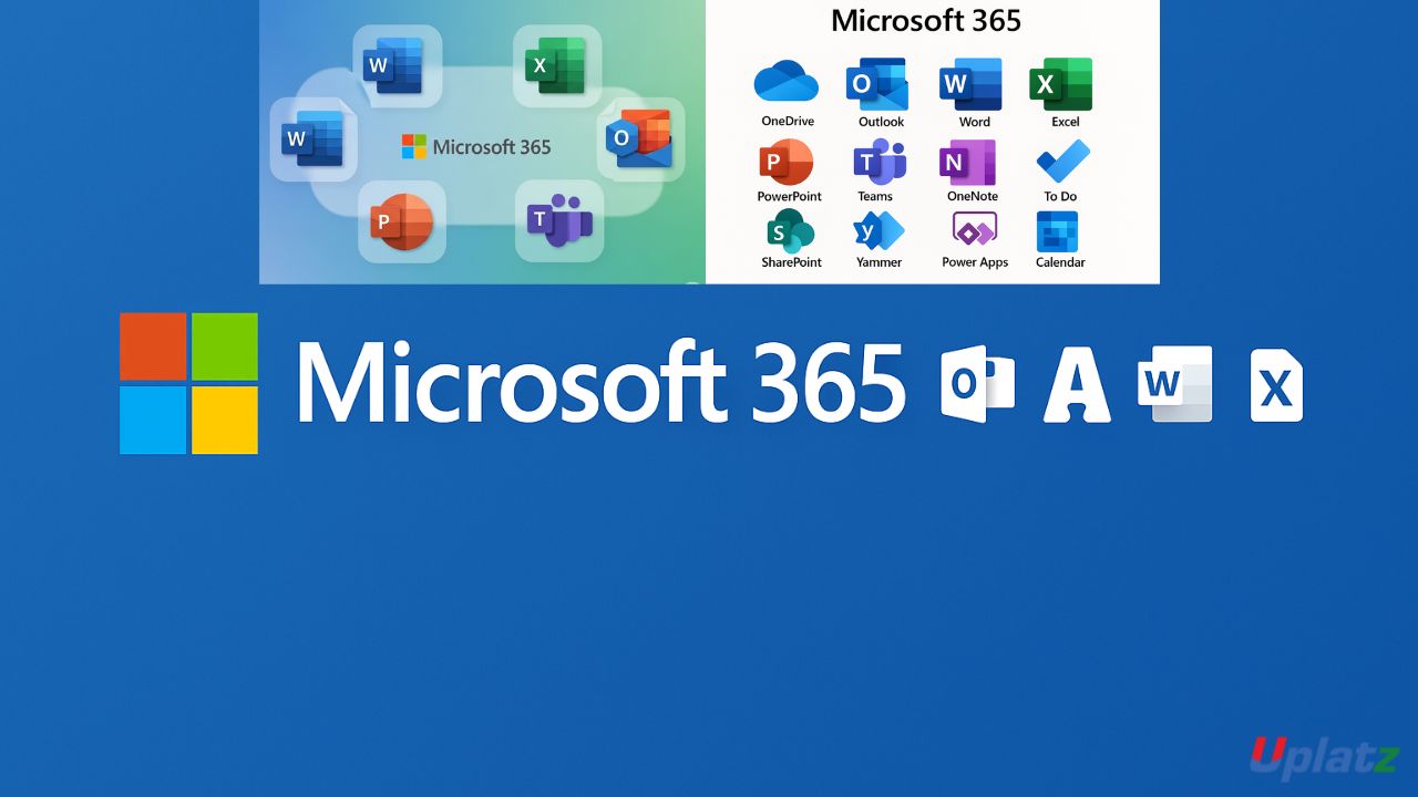 Microsoft 365 (beginner to expert)