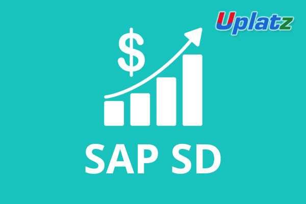 SAP SD (Sales and Distribution)