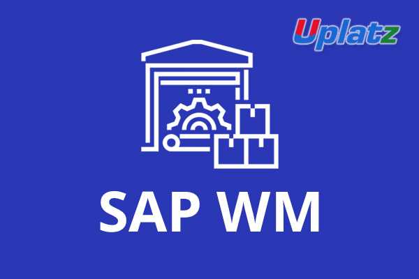 SAP WM (Warehouse Management)