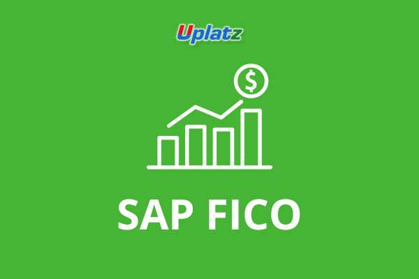 SAP FICO (basic to advanced)