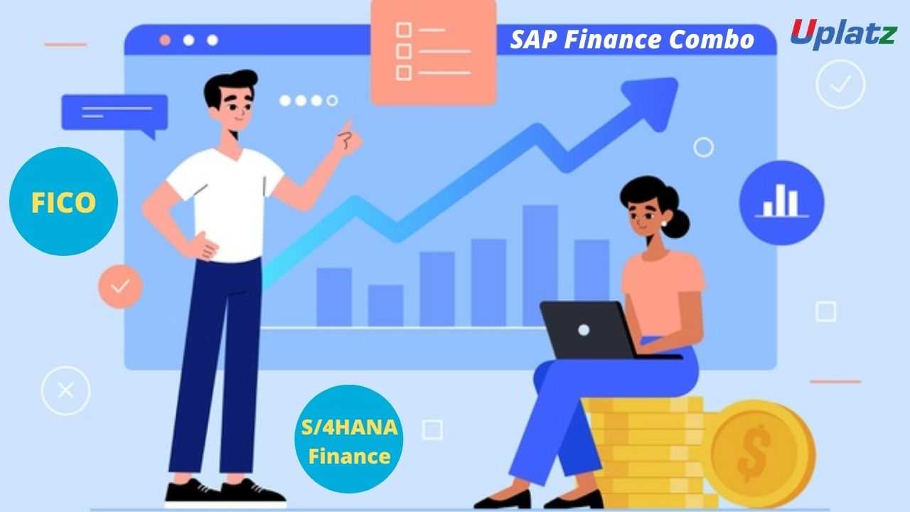 Bundle Combo - SAP Finance (FICO and S/4HANA)