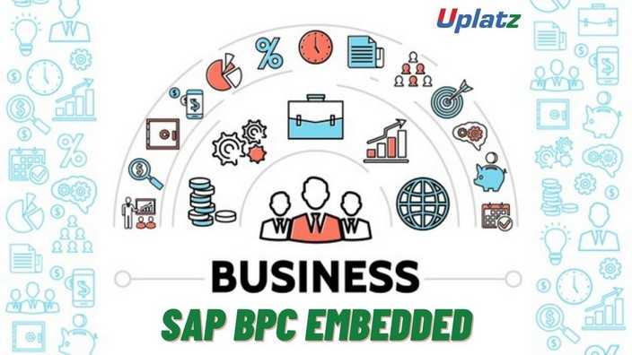 SAP BPC Embedded