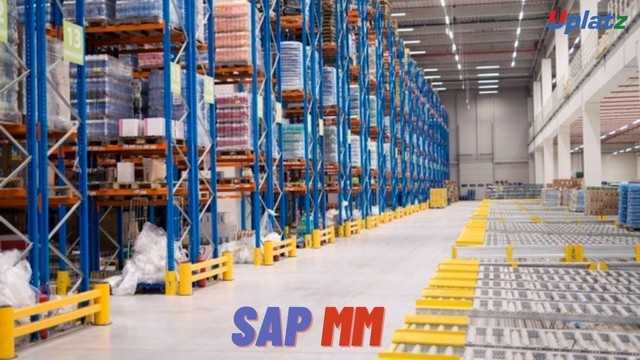 SAP MM (Materials Management)