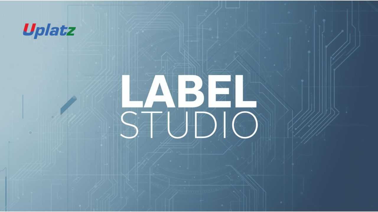Label Studio