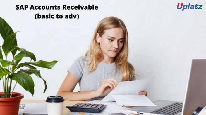 SAP Accounts Receivable (basic to advanced)