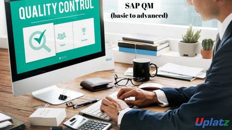 SAP QM (basic to advanced)