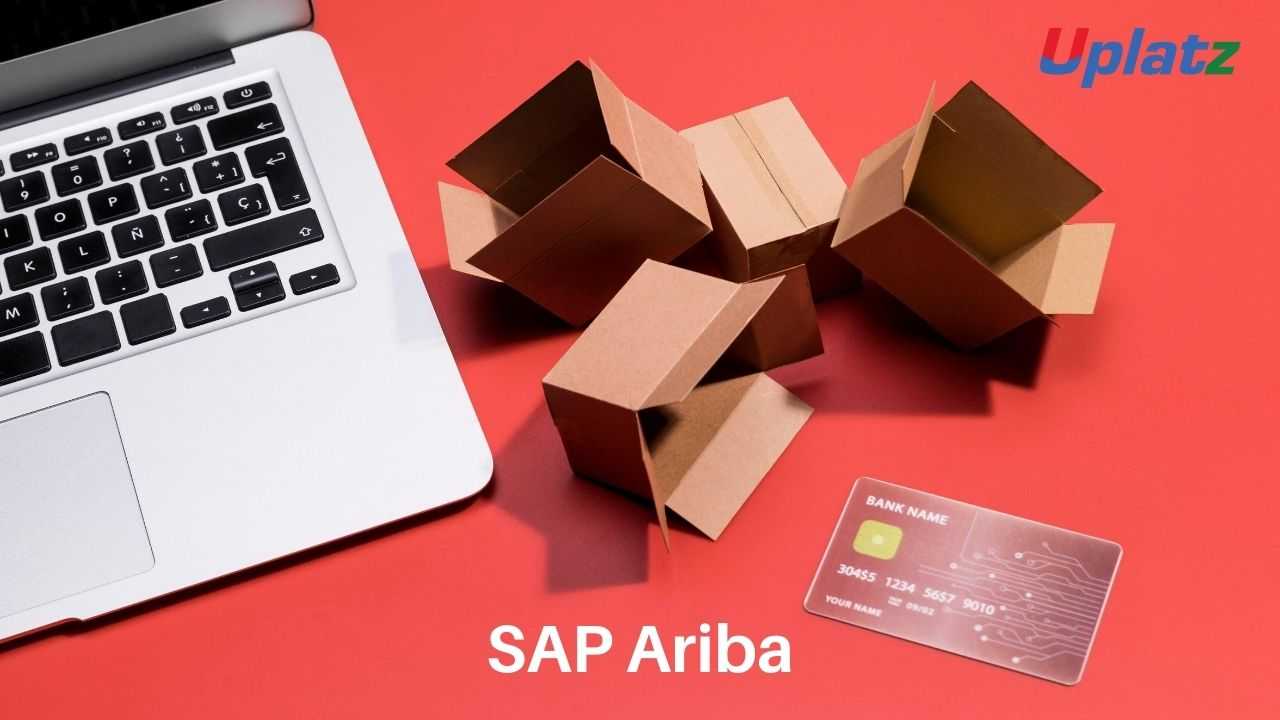 SAP Ariba (basic to advanced)