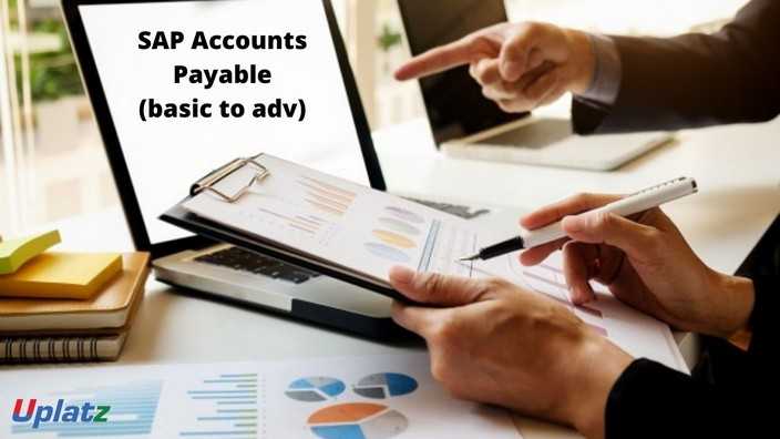 SAP Accounts Payable (basic to advanced)