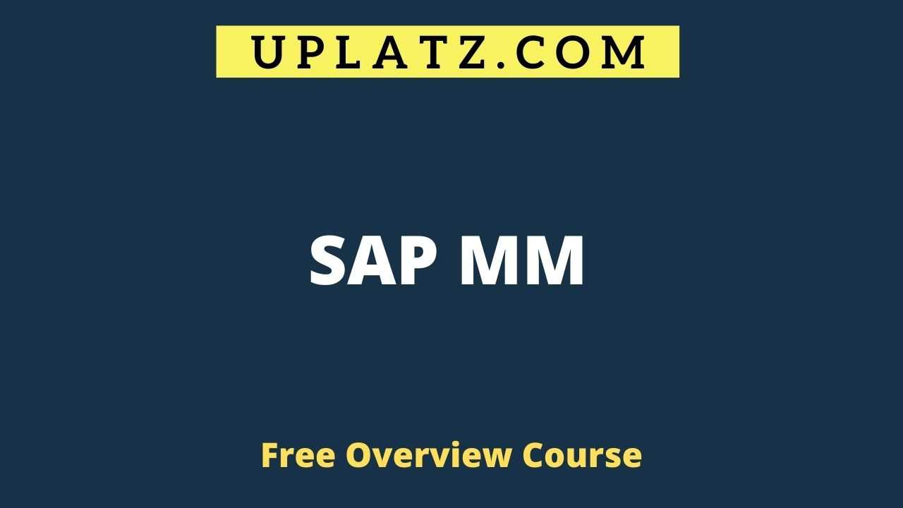 Overview Course - SAP MM