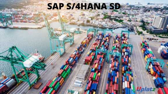 SAP S/4HANA SD (Sales and Distribution)