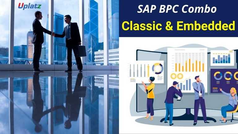 Bundle Combo - SAP BPC (Classic and Embedded)
