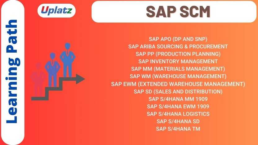 Learning Path - SAP SCM (Supply Chain Management)